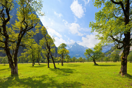 �5025 �������(a): ����������:2554x1703